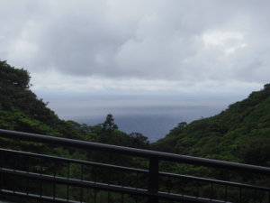 休戸橋からの景色