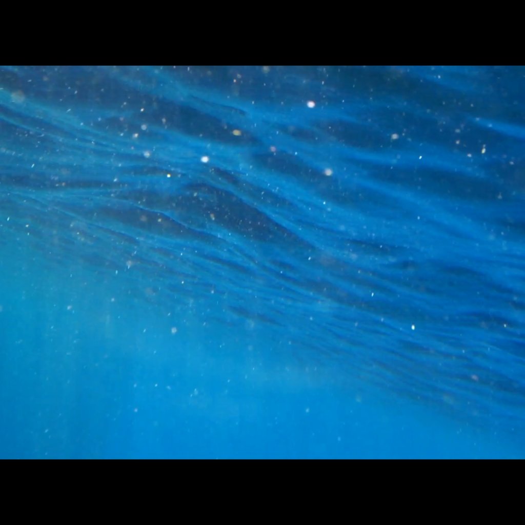 aogashima blue ヘアゴム 写真