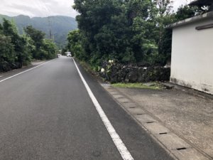イタチ