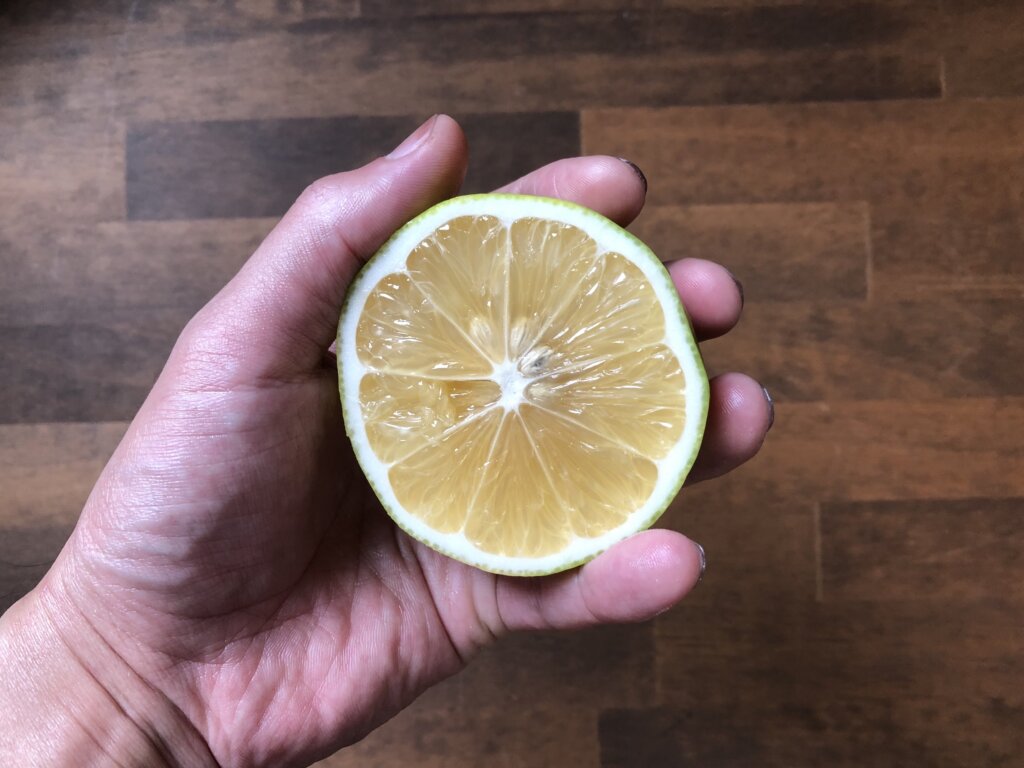 フルーツレモン