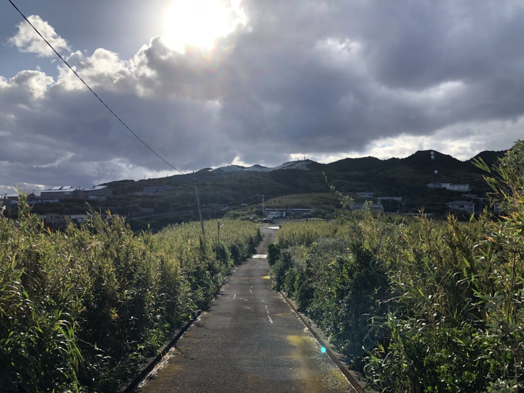 青ヶ島ヘリポートへの道