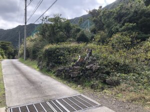 池の沢の神社