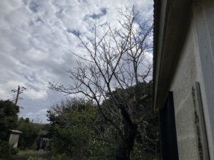 青ヶ島の美容室