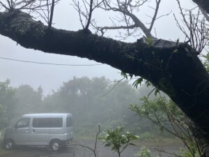 霧