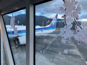 八丈島空港