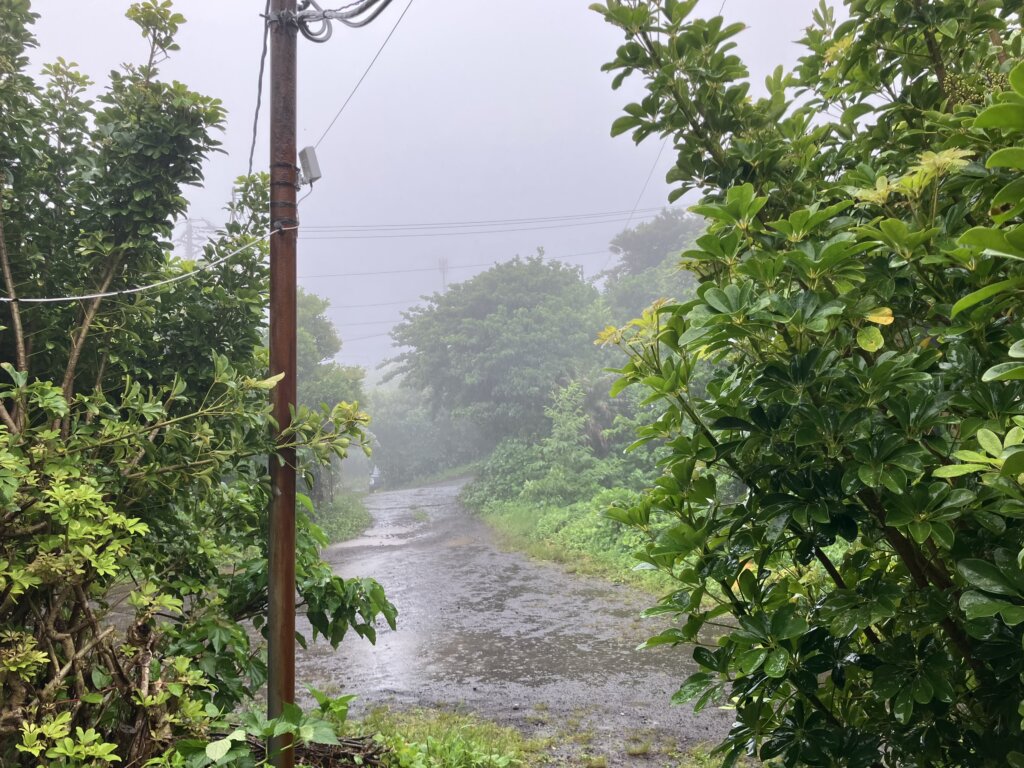 霧