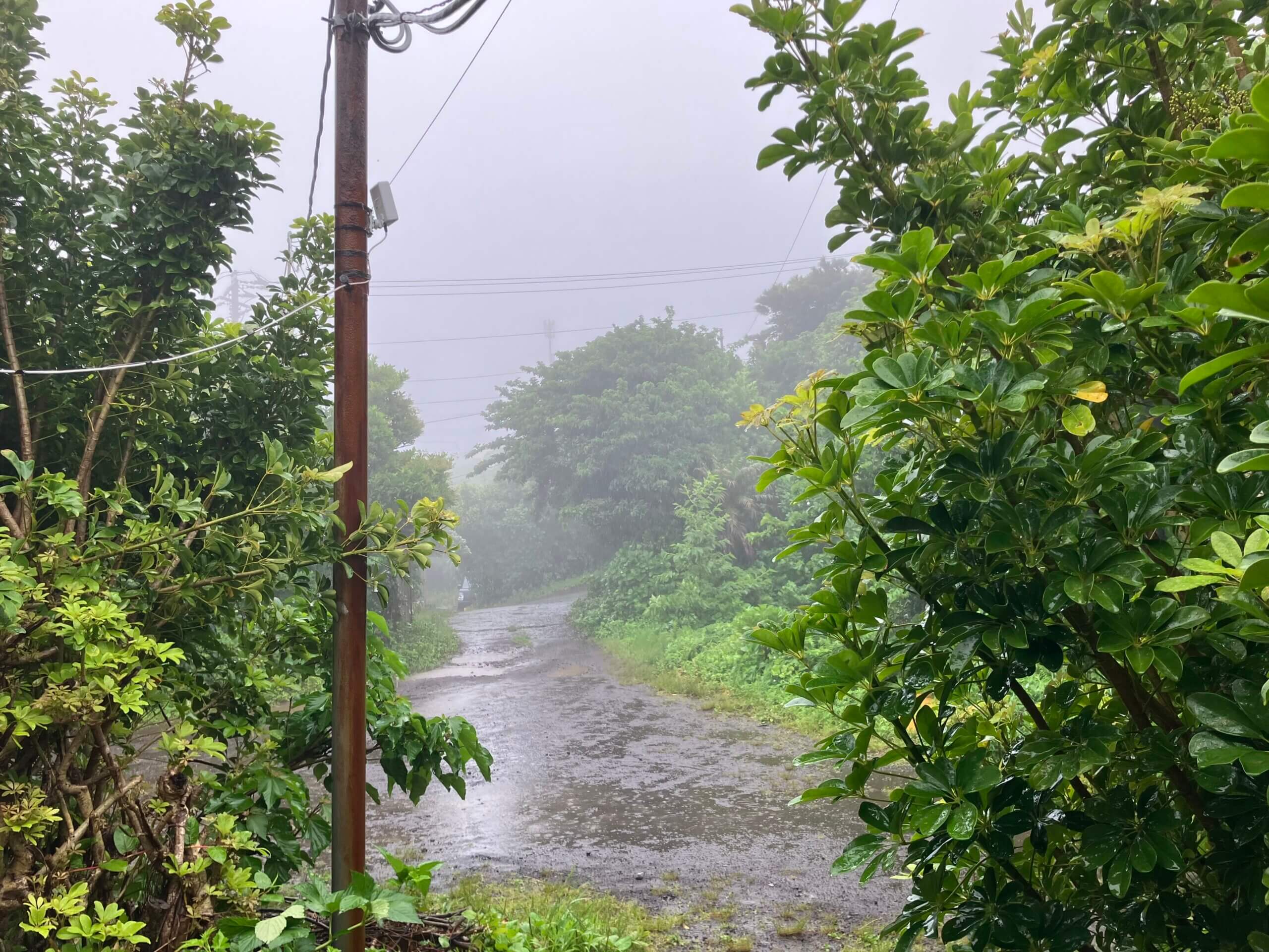 霧