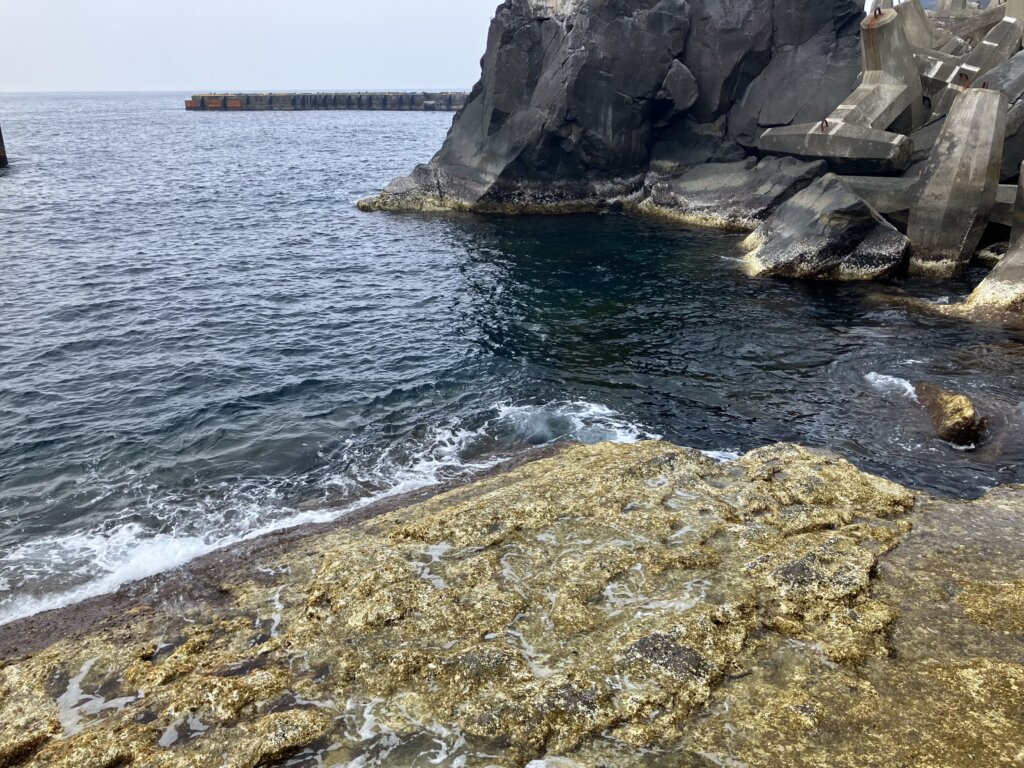 三宝港