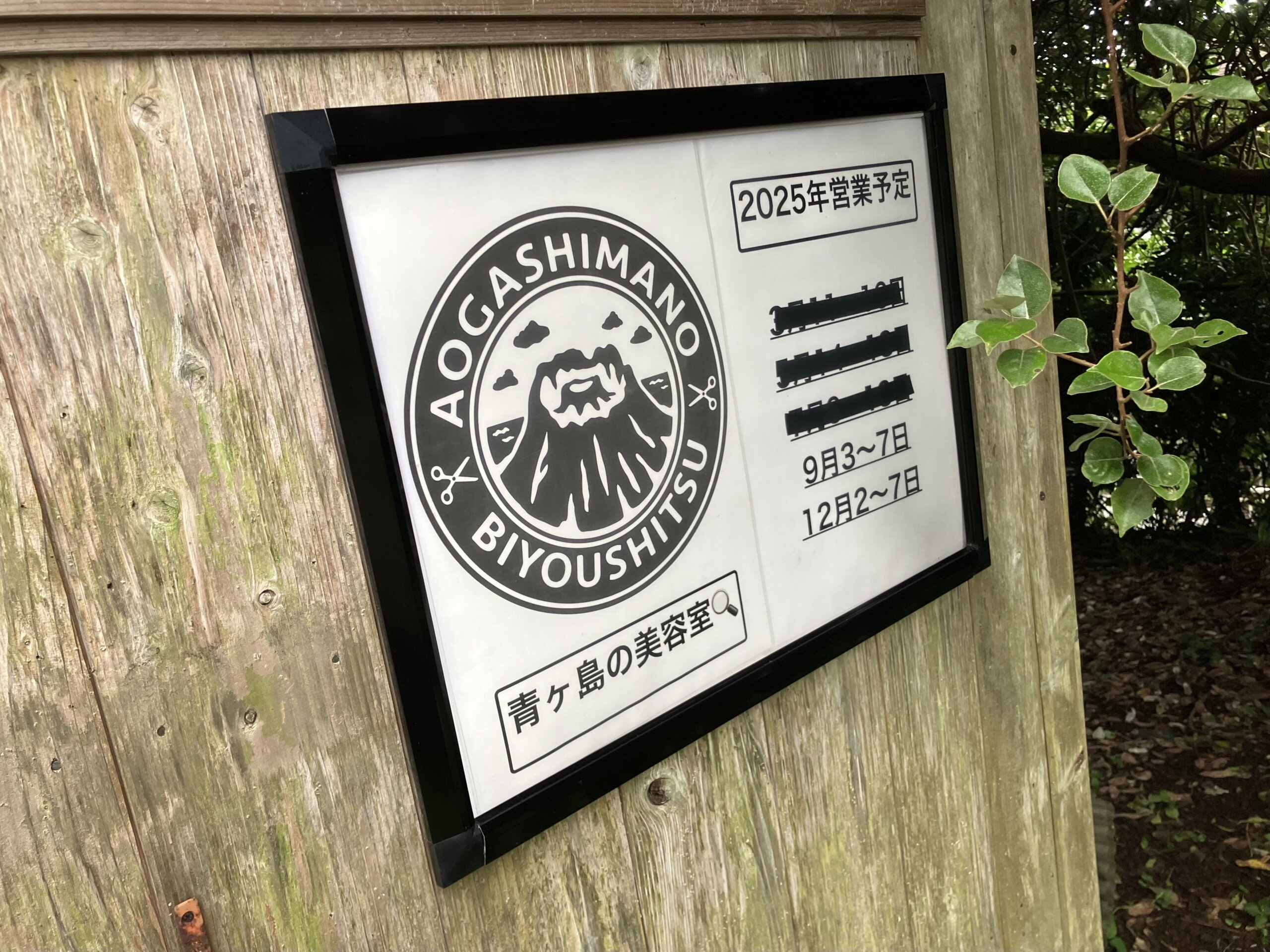 日程版