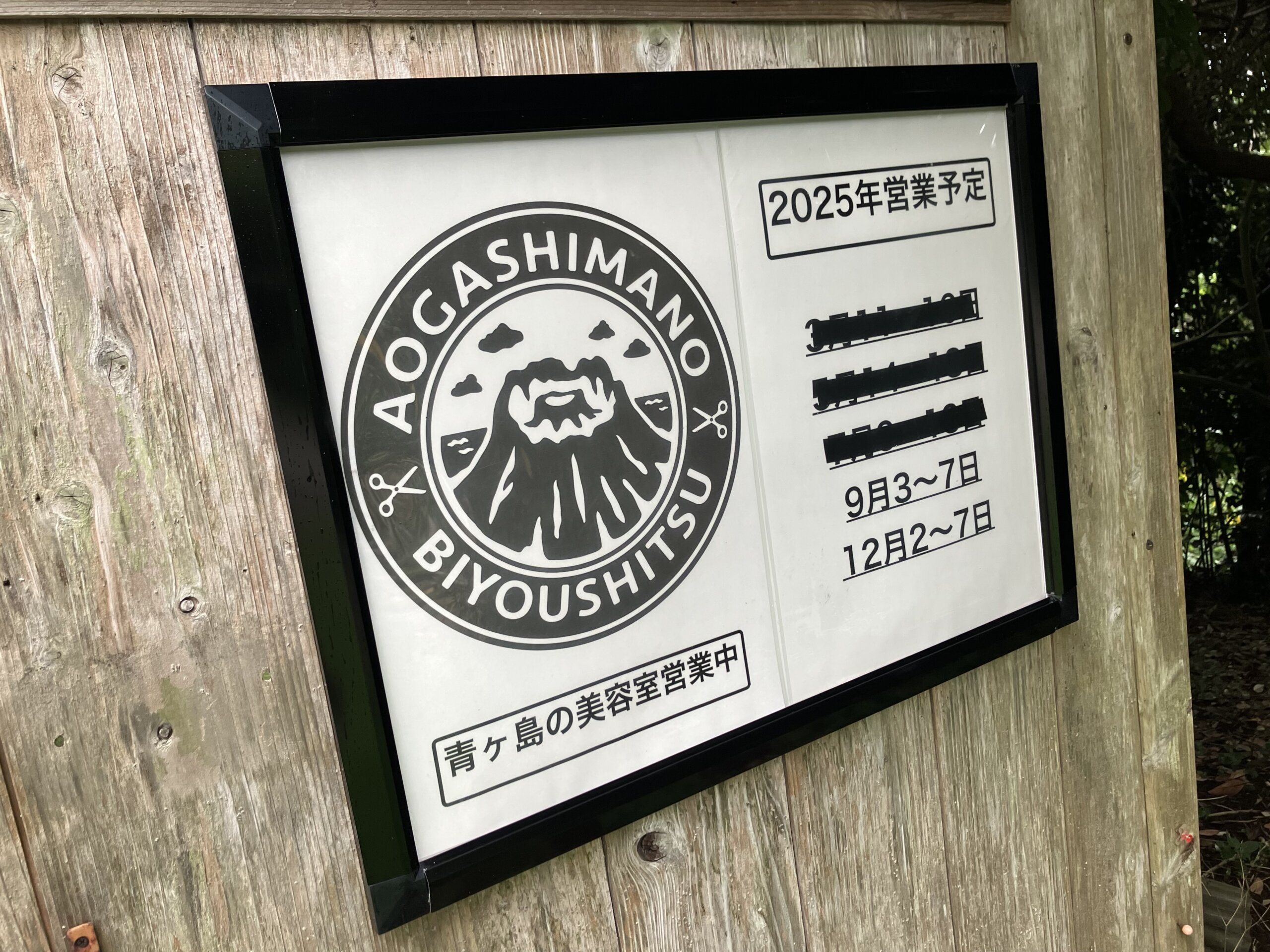 日程版