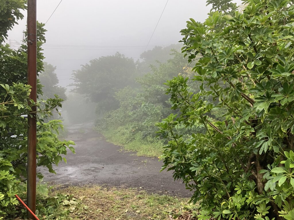 霧