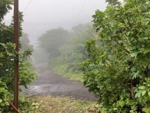 霧