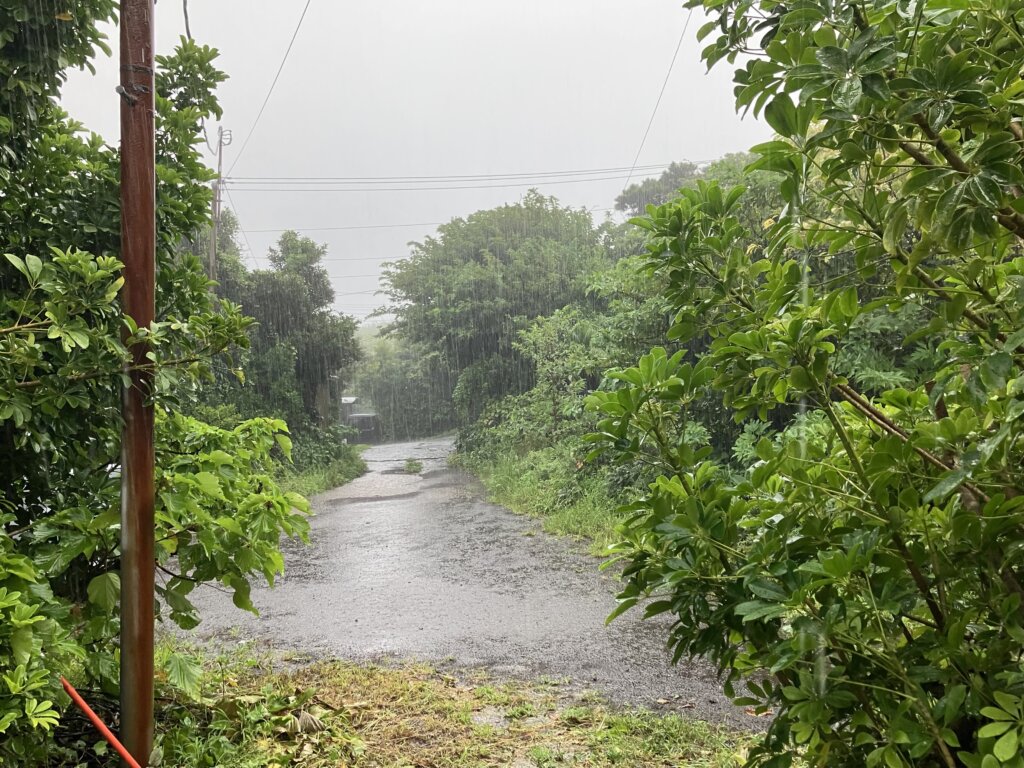 雨