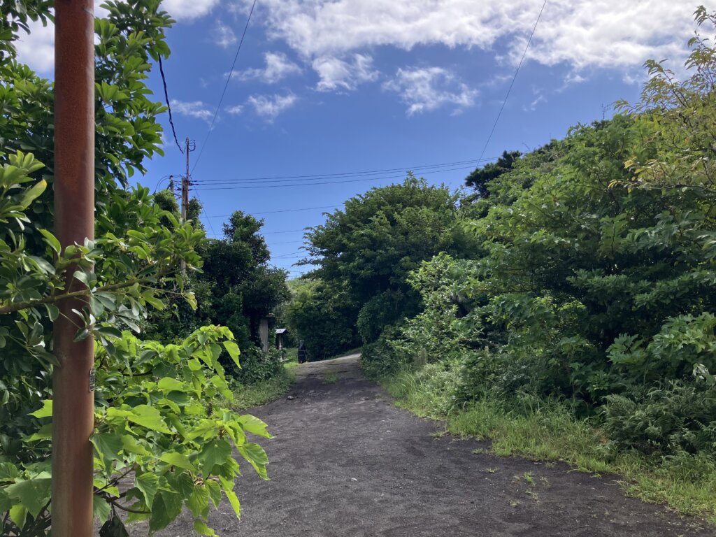 晴れ