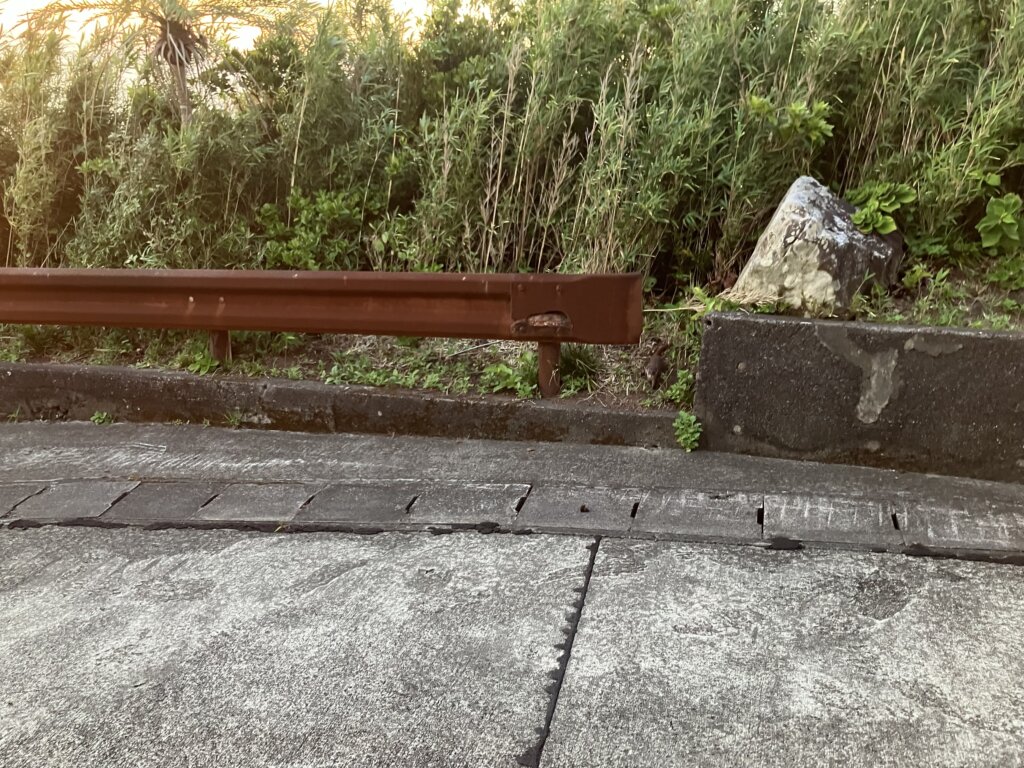 イタチ