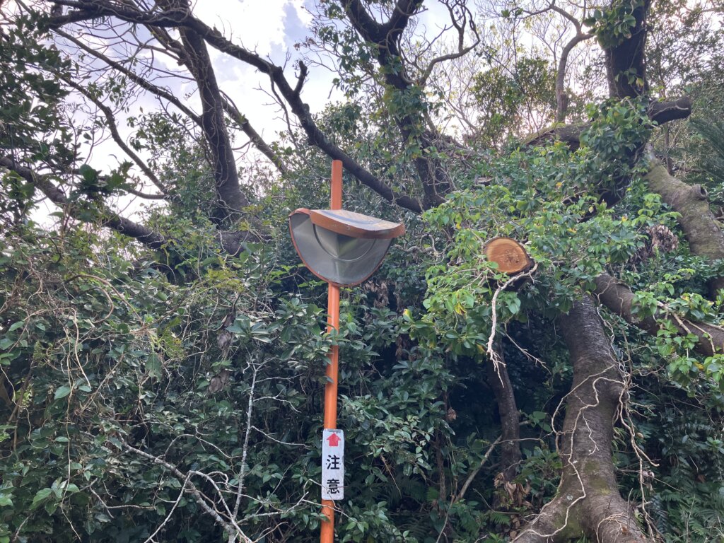 青ヶ島、台風の爪痕