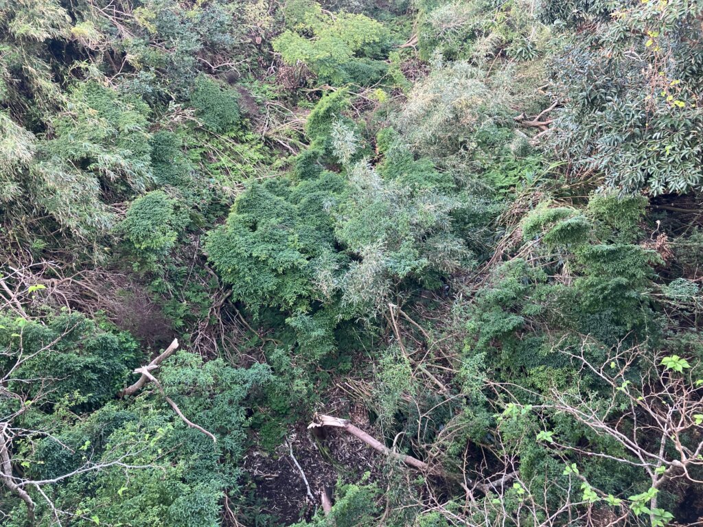 青ヶ島、台風の爪痕