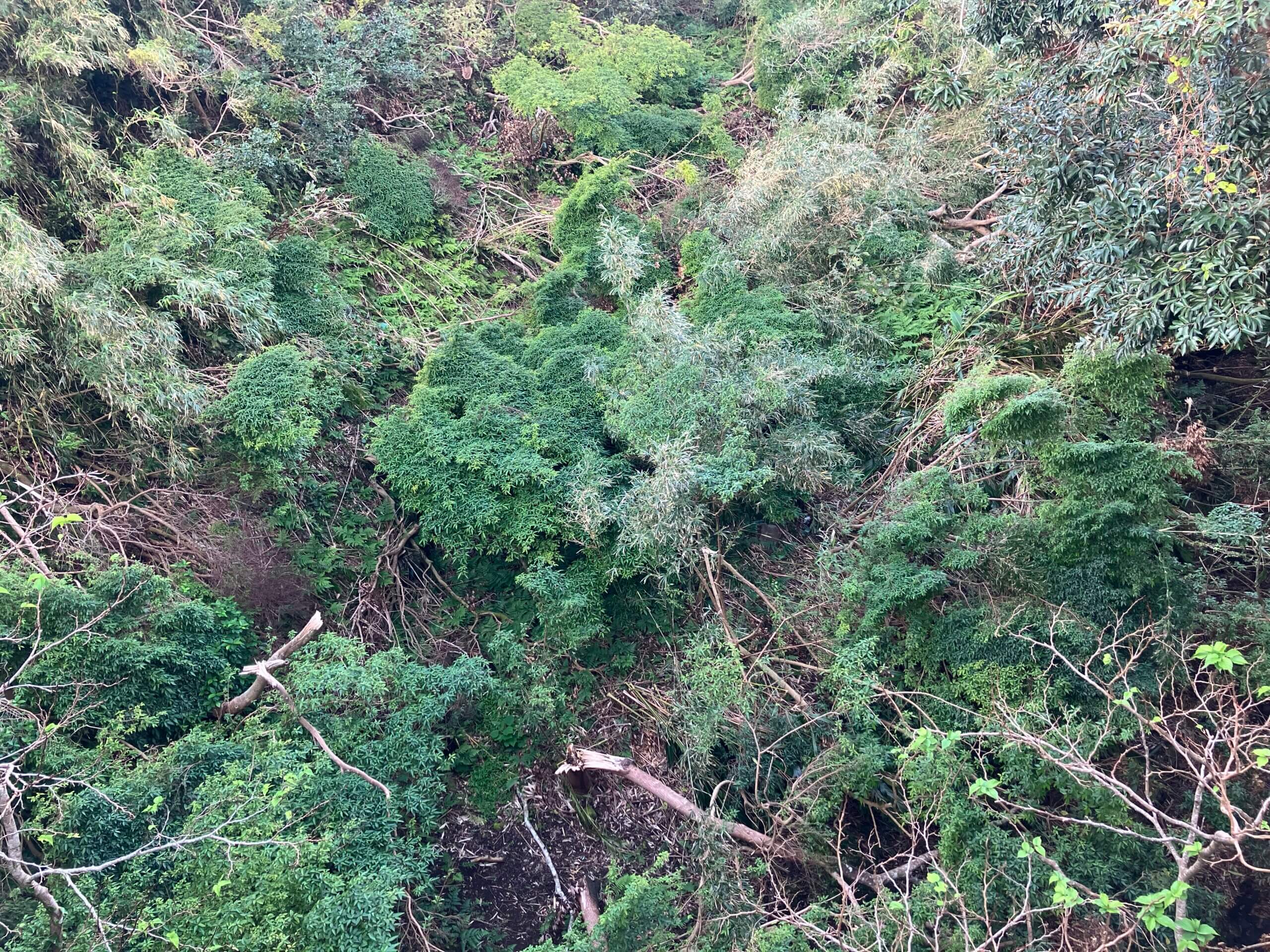 青ヶ島、台風の爪痕