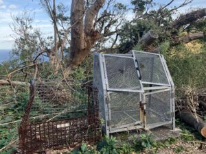 青ヶ島、台風の爪痕
