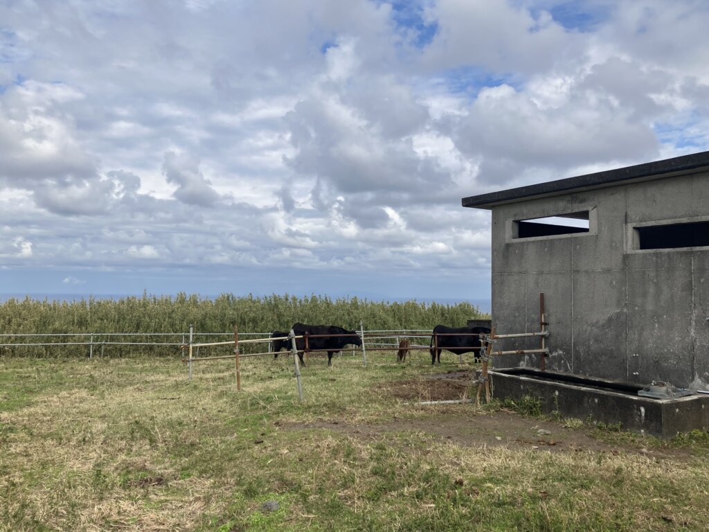 ジョウマン牧場