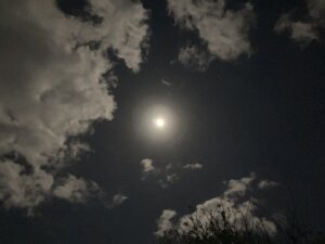 満月