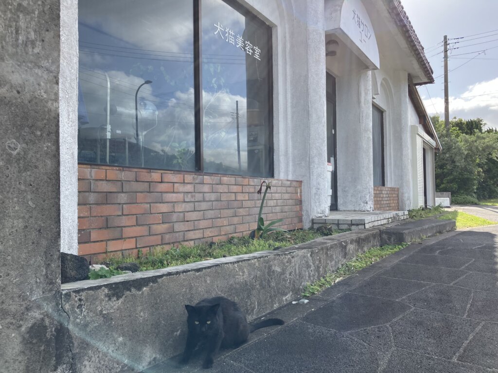 犬猫美容室