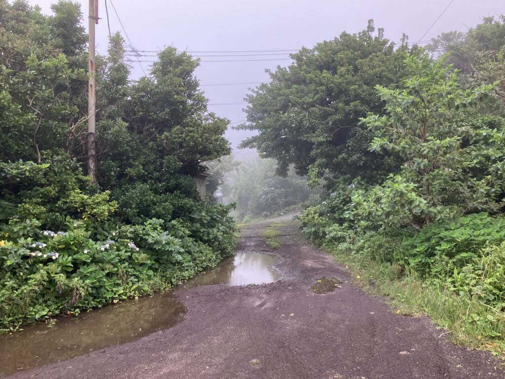 霧