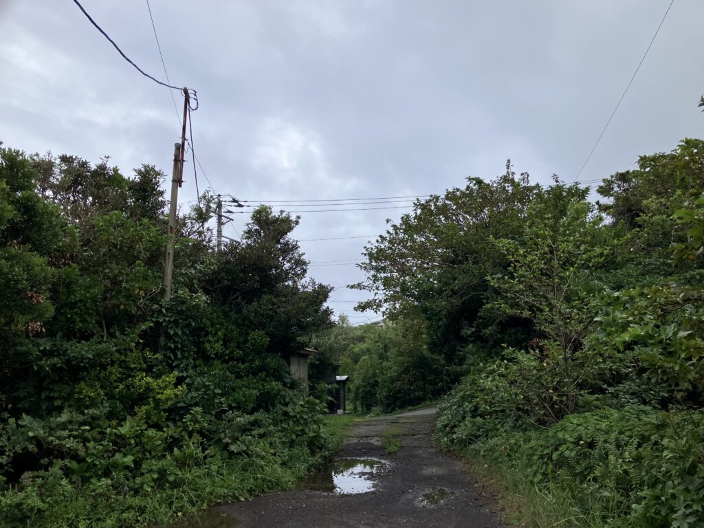 台風