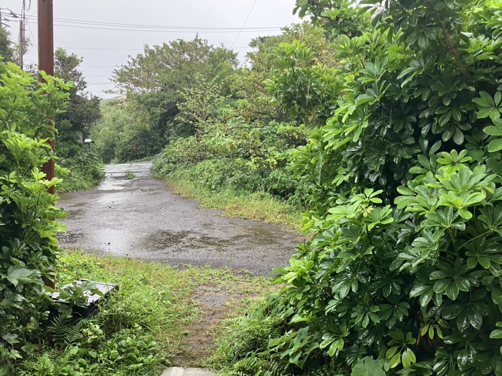 台風