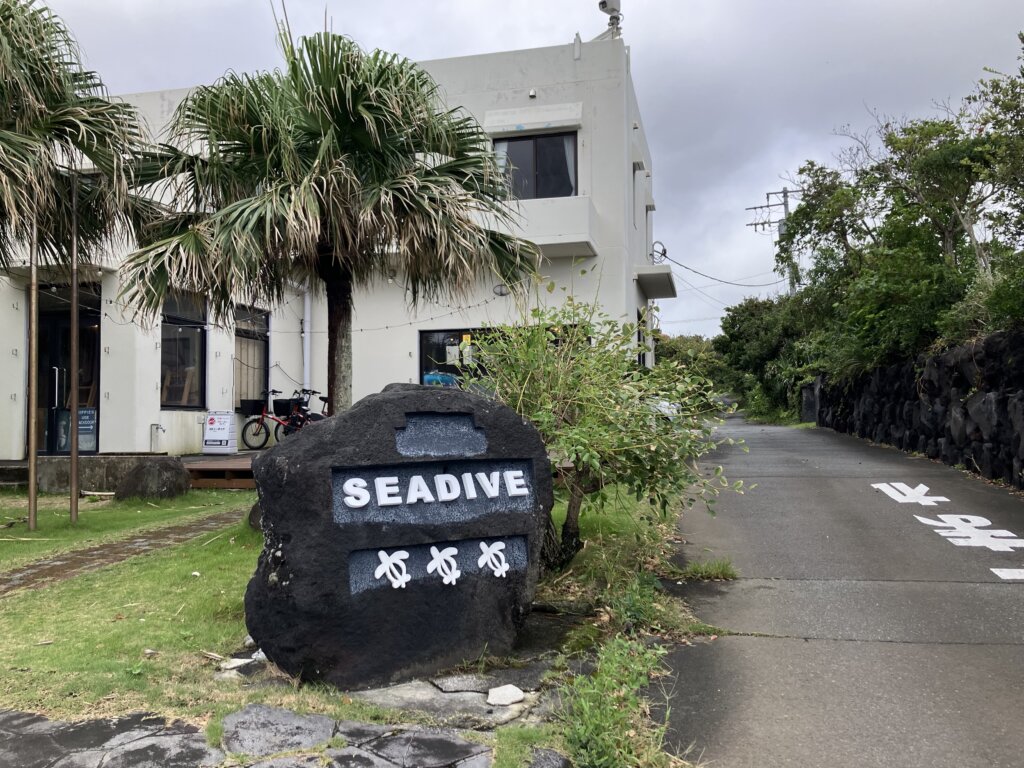 SEADIVE